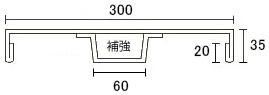 D300