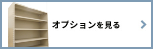 オプションを見る